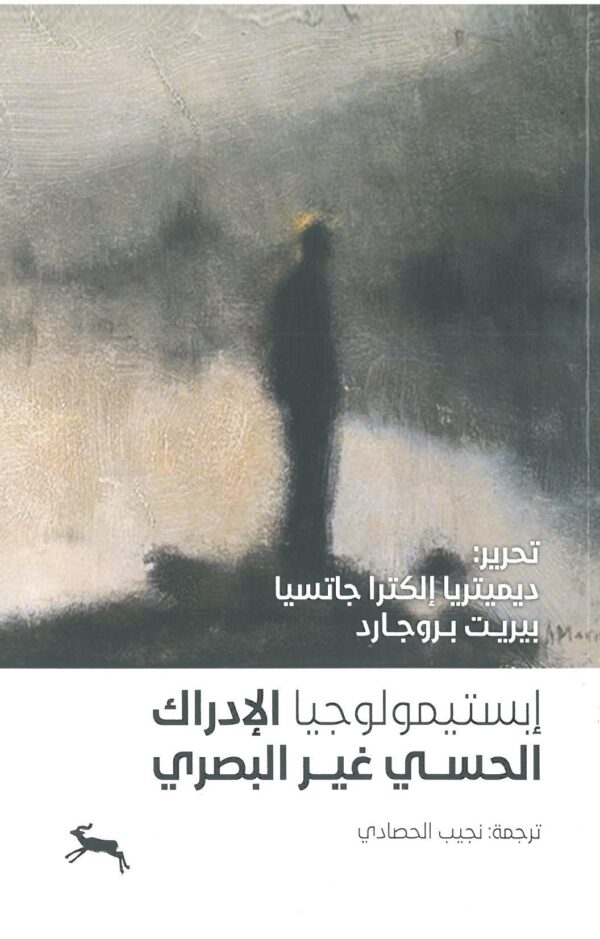 إبستيمولوجيا الإدراك الحسي غير البصري
